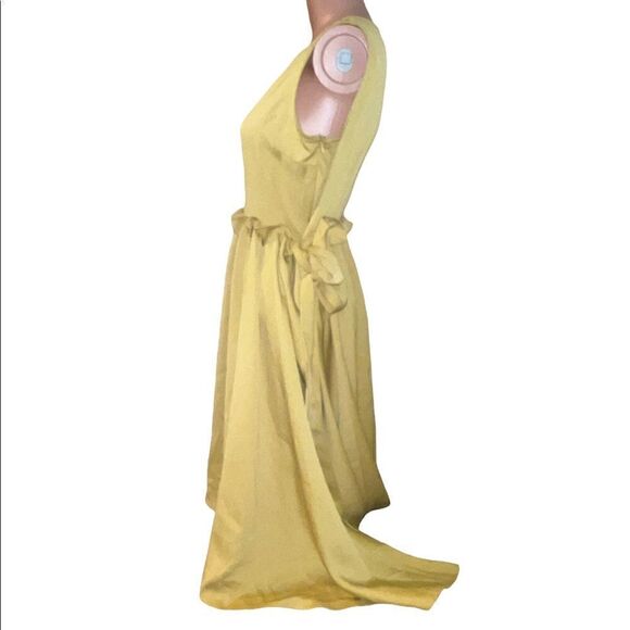 CAARA Bumblebee Flare Side Tie Flowing Pleated Dress - Picture 6 of 9